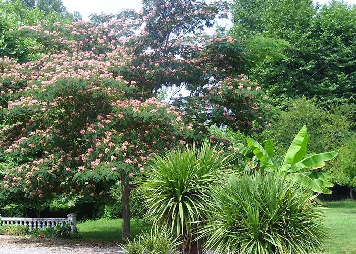 Couette-café D'hôtes Moulin Urketa 3*